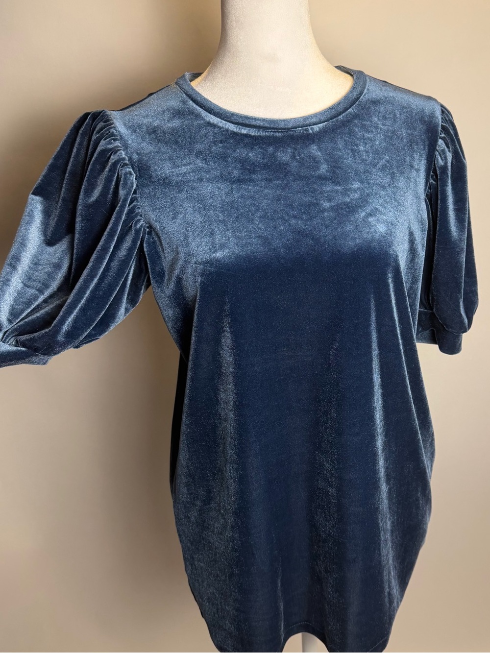C. Wonder Velvet Puff Sleeve Tee in Deep Blue